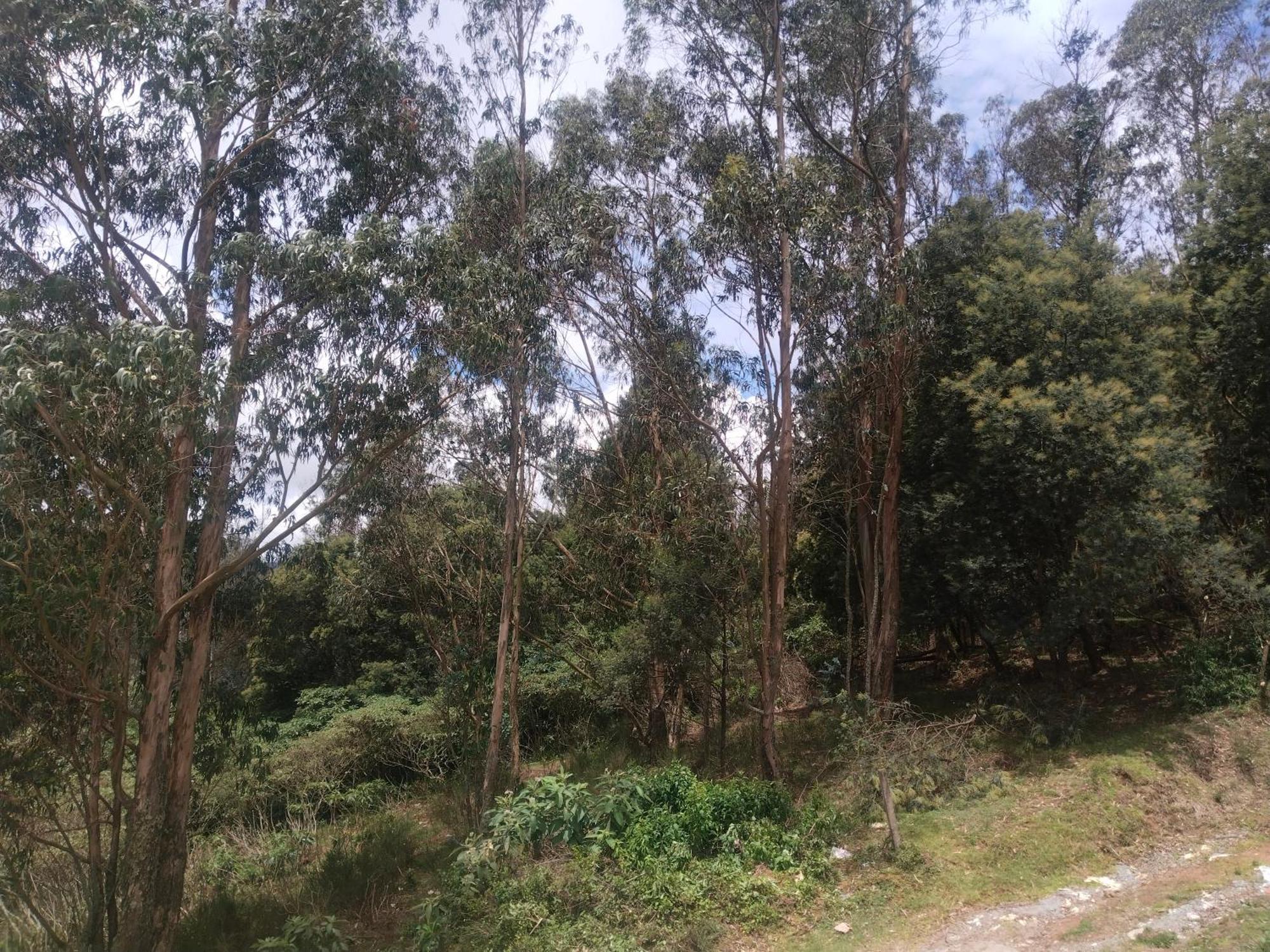 Appartamento Bs Dreamz Ooty Esterno foto