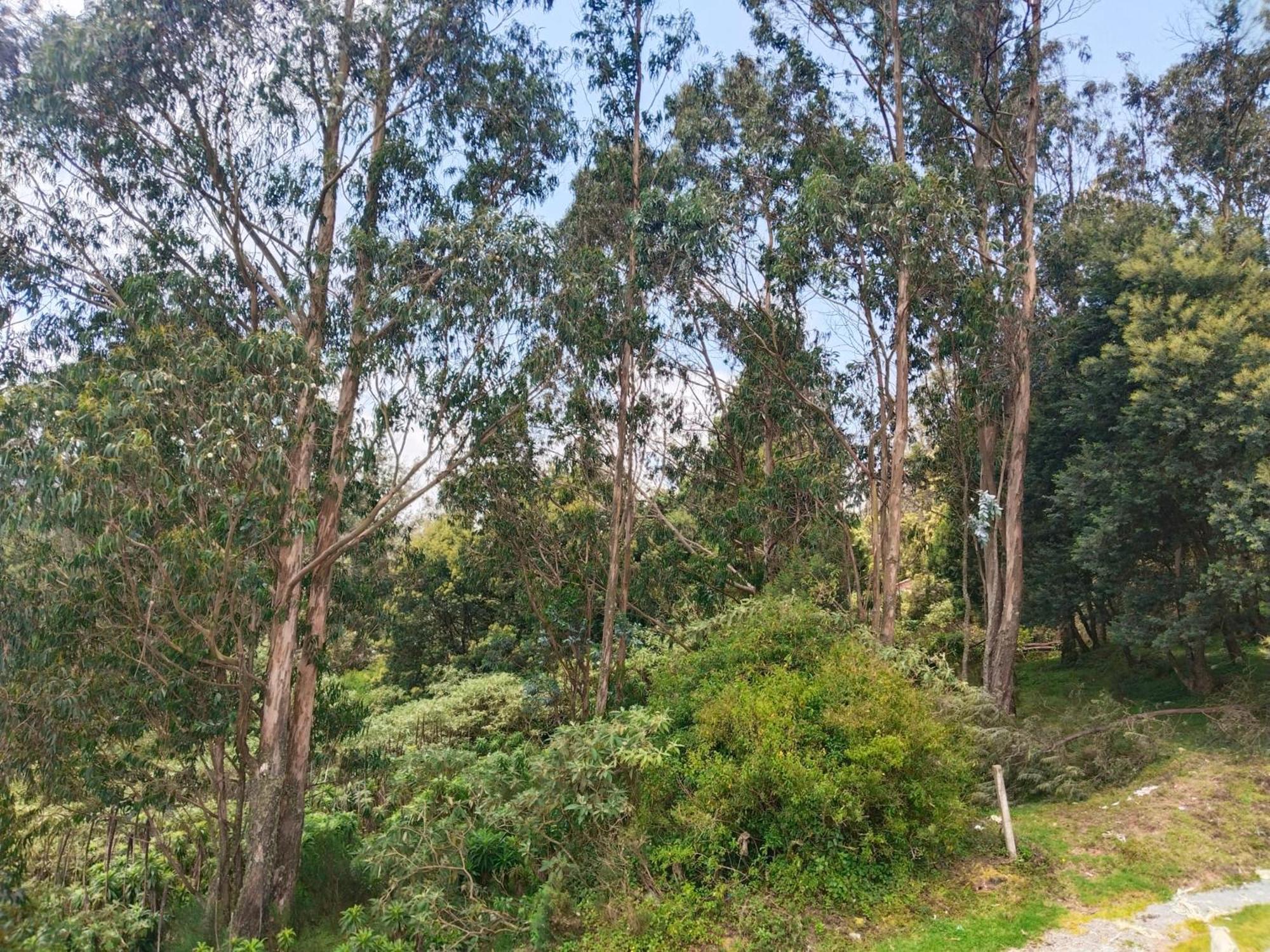 Appartamento Bs Dreamz Ooty Esterno foto